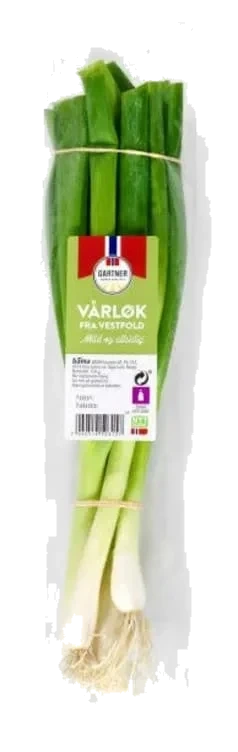 Vårløk 150g Bunt Gartner