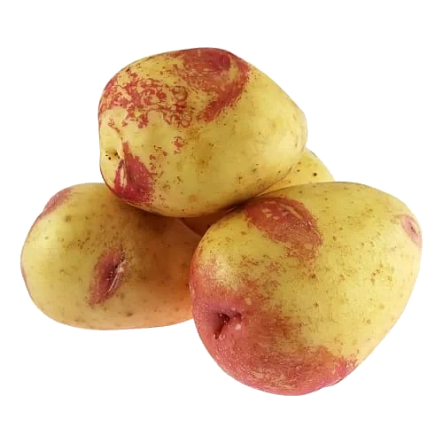 Potatis Mjölig Klass 1