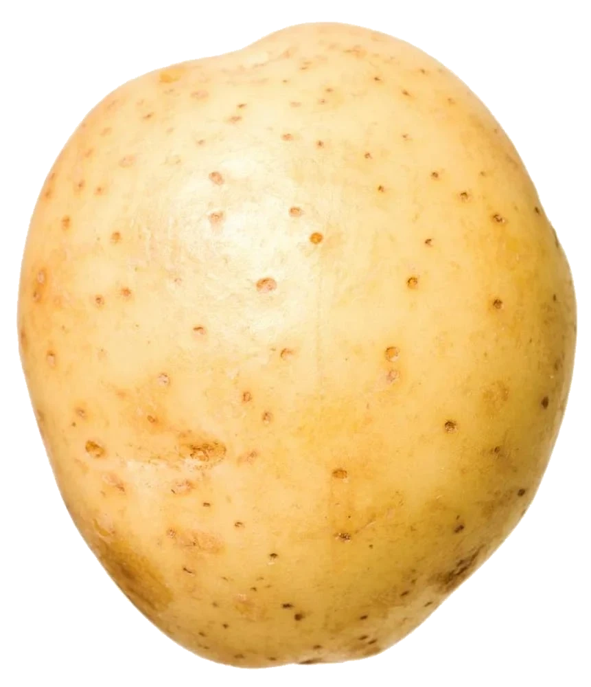Bakepotet