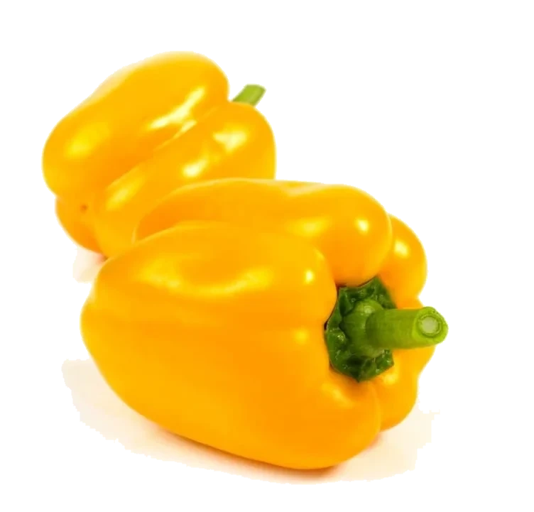 Paprika Gul
