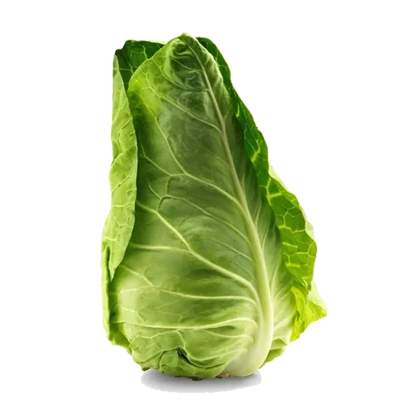 Spisskål Stk