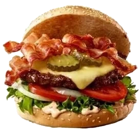 Hamburger Halal 100g 7kg