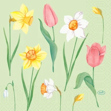 Serviett 3l33cm Spring Melody