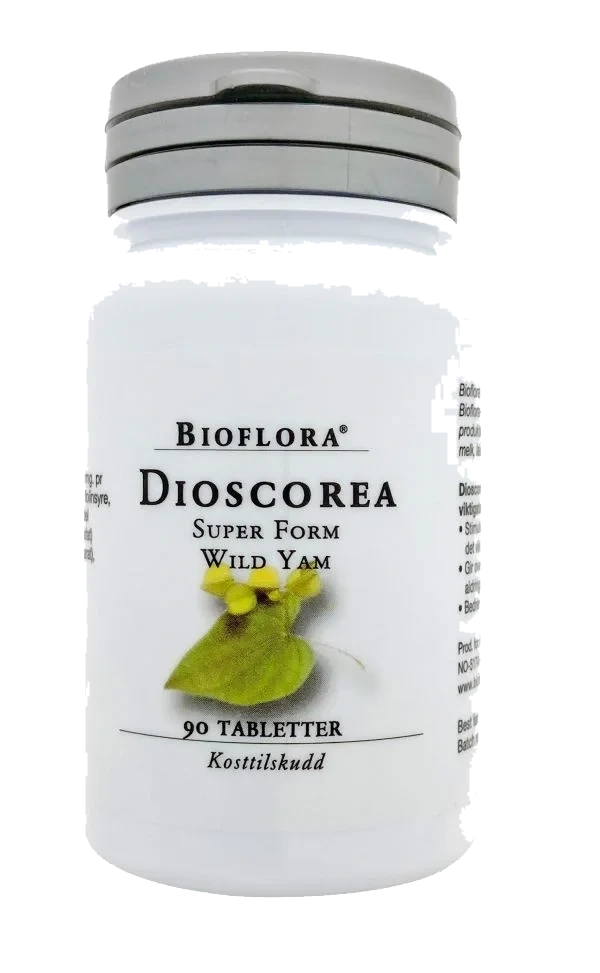 Kloster Dioscorea