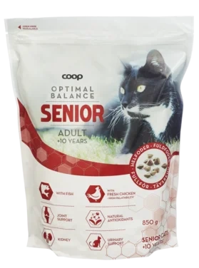 Cat Food Dry Senior
