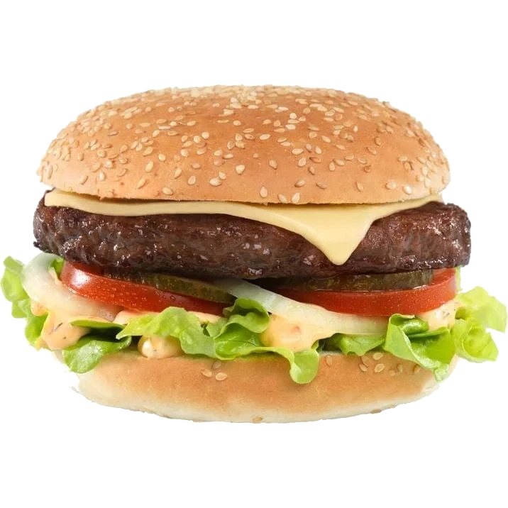 Hamburger Halal 33x160g