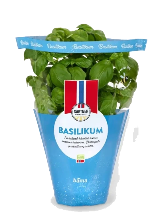 Basilikum 9cm Potte Gartner