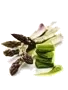 Grön sparrispuré