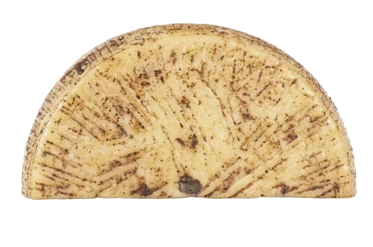Moliterno Al Tartufo