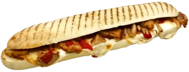Panini Kylling & Asiatisk Bbq Saus 202g