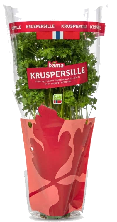 Kruspersille Stor Potte Bama