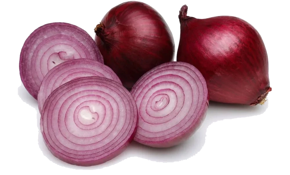 Økologisk Rødløk