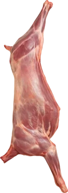 Kje Hel Slakt Rå