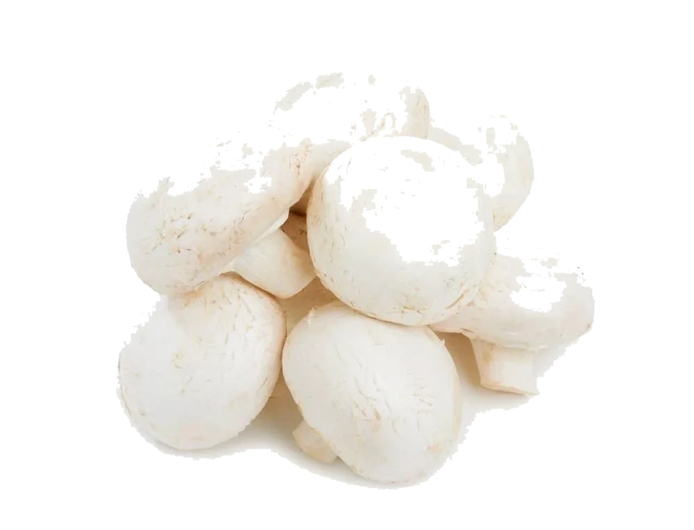 Stor Champignon