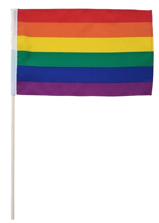 Pride Håndflagg 20x30cm