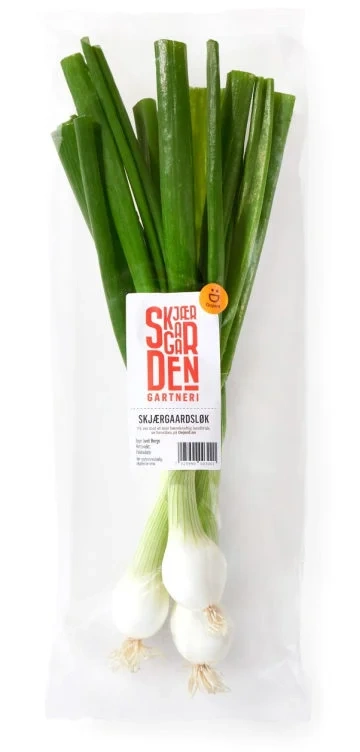 Skjærgårdsløk Hvit Bunt Skjærgaarden