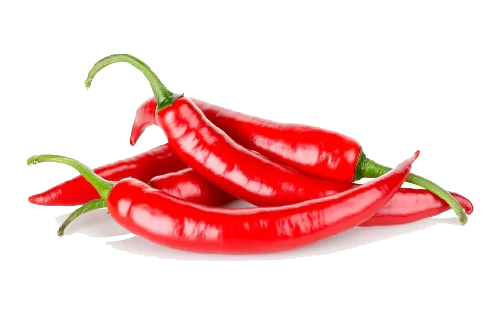 Chilipepper Rød