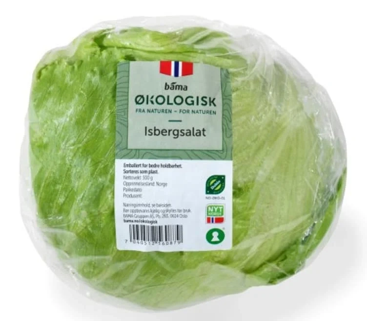 Isbergsalat 300g Økologisk