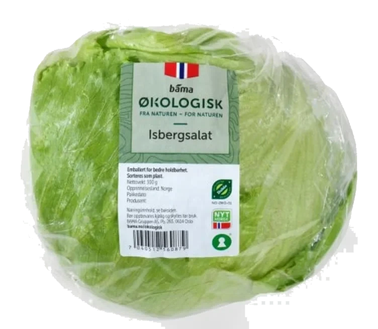Isbergsalat 350g Økologisk