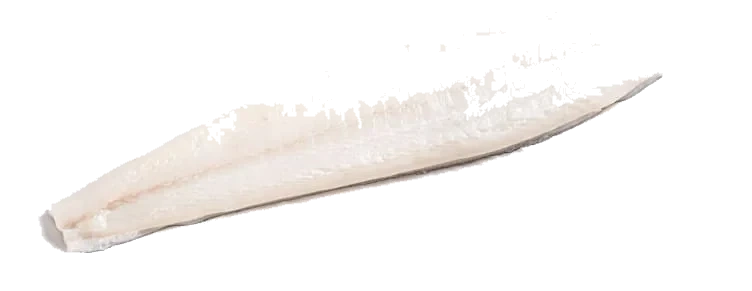 Kveite Filet Sterling Oppdrett 1-3kg