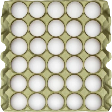 Large Egg Brett 30stk
