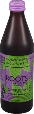 Roots Of Malmö, Økologisk Kombucha Solbær