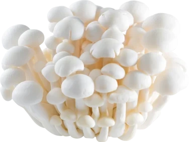 White Shimeji Mushroom 200g So Fresh