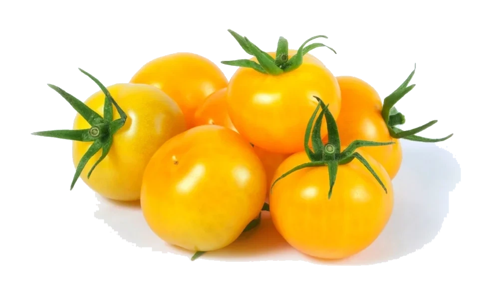 Cherrytomater, Gule