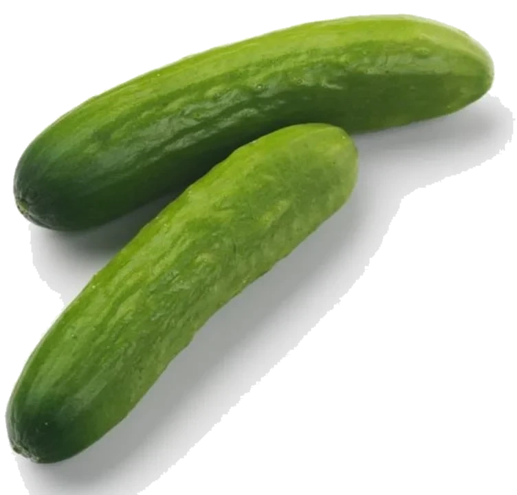Agurk Snackagurk
