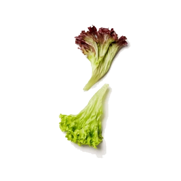Rød Lollo Salat Flowpack