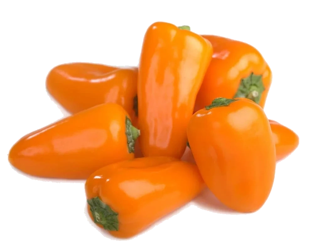 Orange mini Paprika, ekstra søte