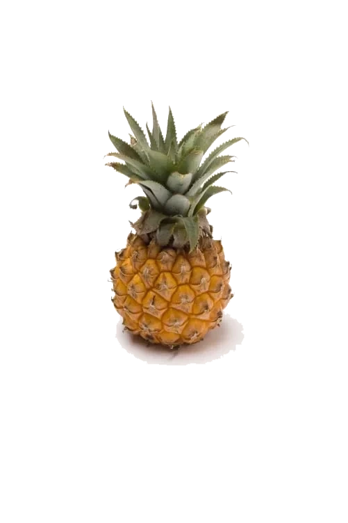 Ananas Mini stykk