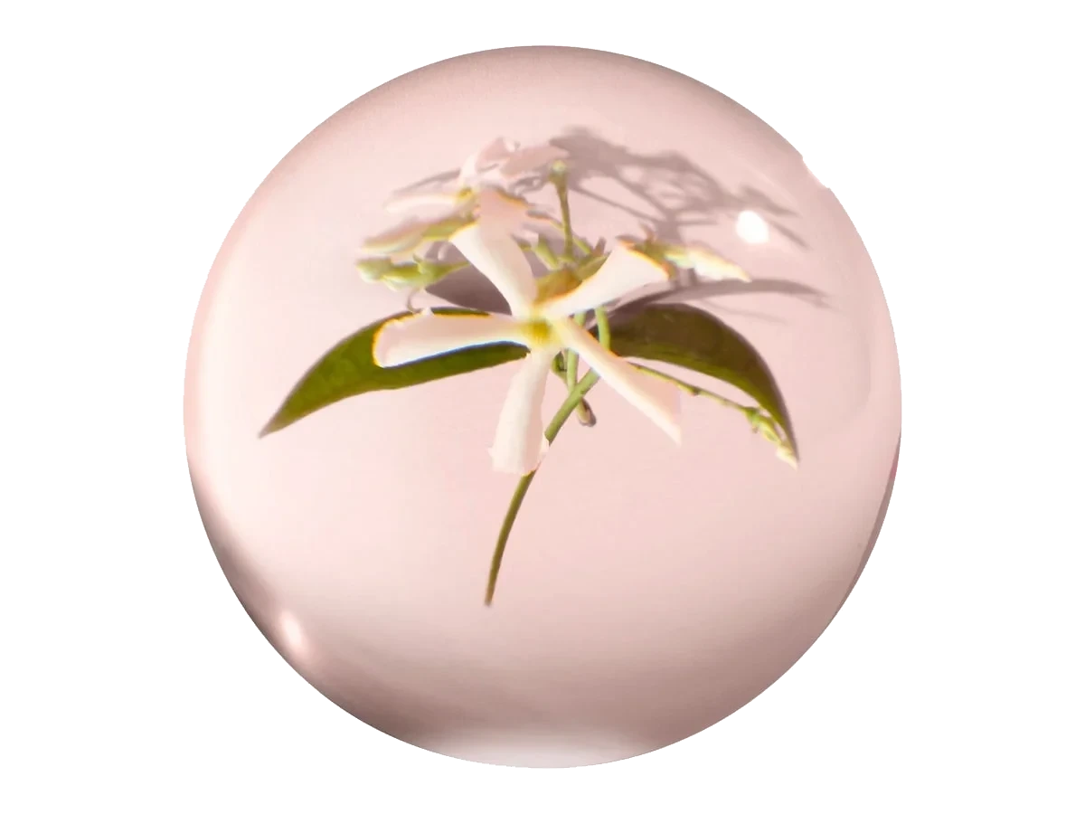 Molton Brown Jasmine & Sun Rose