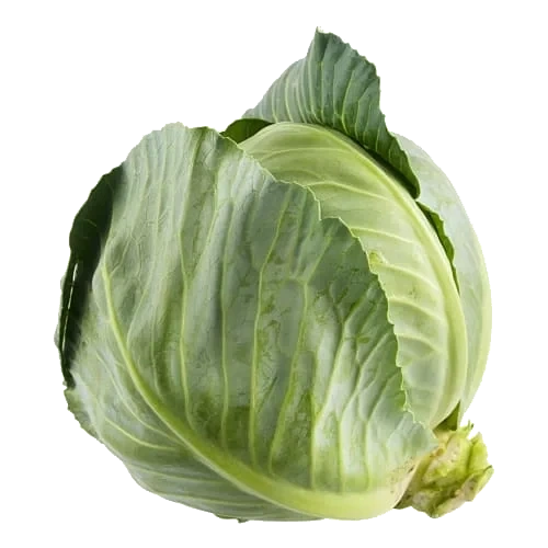 Vitkål Färsk Klass 1