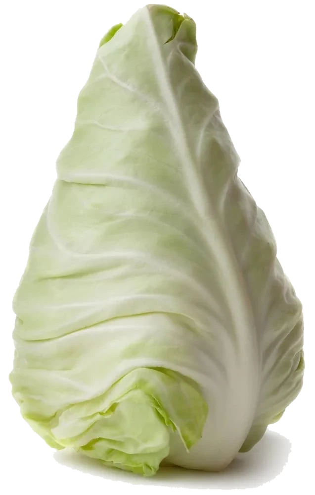 Spisskål