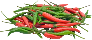 Mixed Chili 80g So Fresh