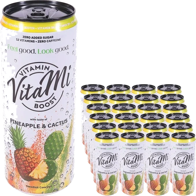 Dryck Ananas & Kaktus 24-pack