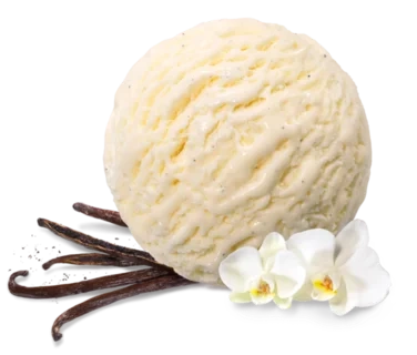 Mövenpick Vanilla 5l