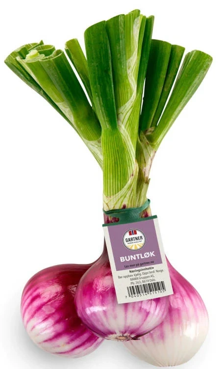 Rødløk Bunt