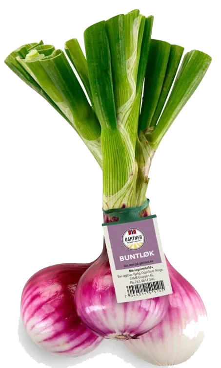 Rødløk Bunt