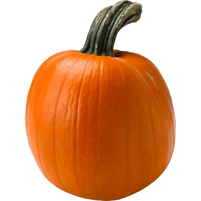 Pumpa 1-3 kg Klass 1 ICA