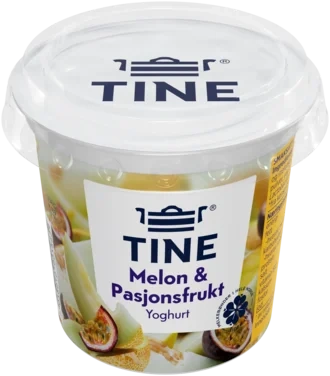 Yoghurt Melon 180g Tine