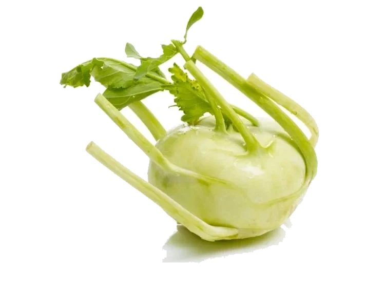 Knutekål