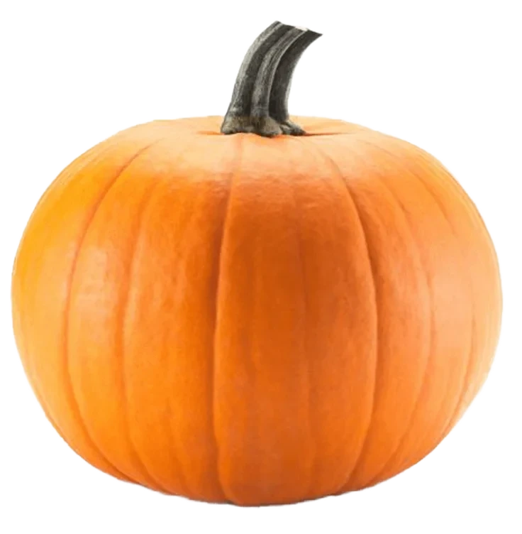 Halloween gresskar ca 6kg pr stk