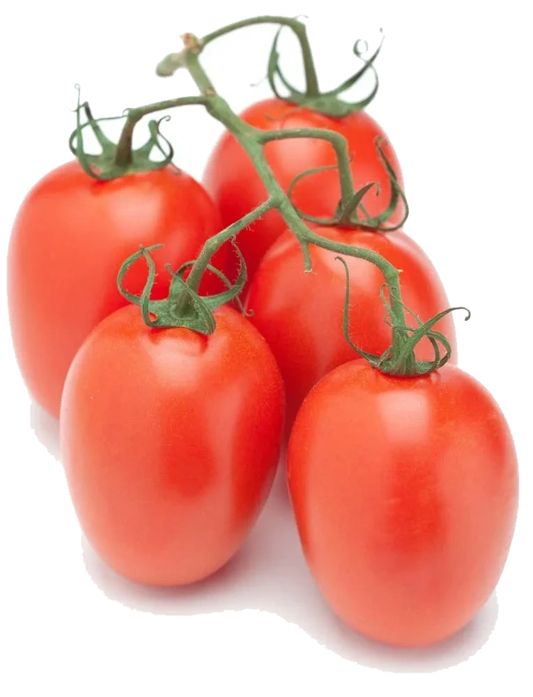 Plommetomat