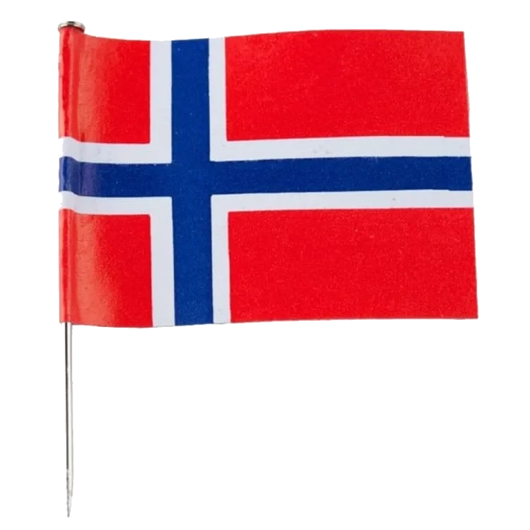 Flagg Norske med Nål 10pk