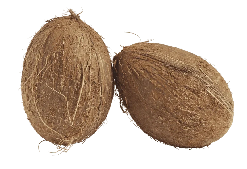 Kokosnøtt Økologisk