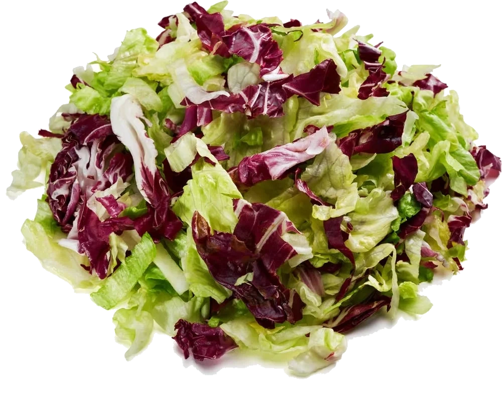 Salatmix Isberg og Radiccio