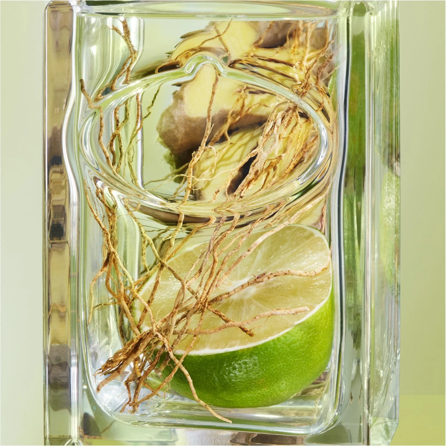 Prada Infusion De Vetiver Eau de Parfum 100 ml