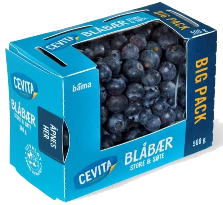 Blåbær 500g Cevita